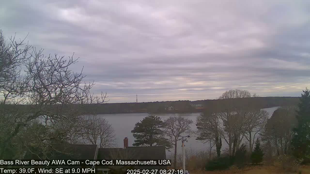 A calm body of water is seen from a vantage point overlooking bare winter trees under an overcast sky.