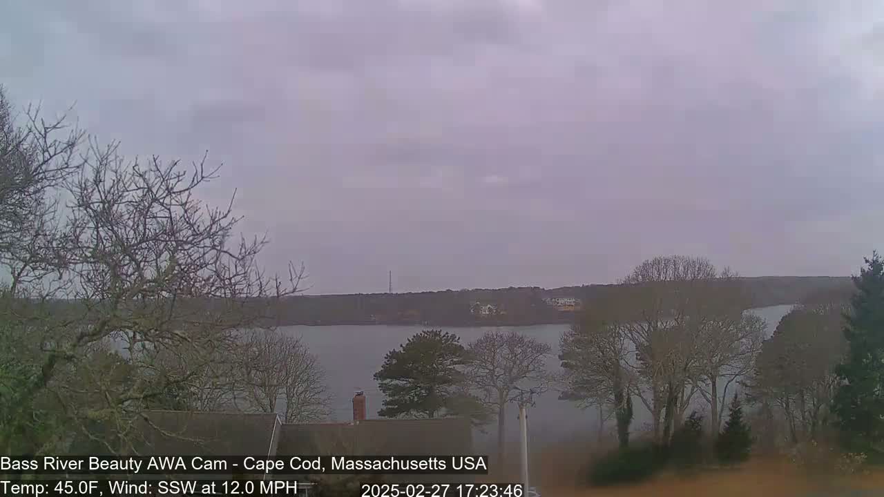 A calm body of water is visible behind bare winter trees under an overcast sky.