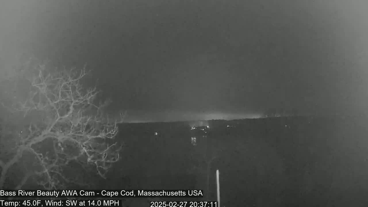 A nighttime, low-light image shows a bare tree in the foreground and a dark, distant landscape under a cloudy sky with a southwest wind at 14 mph and a temperature of 45°F.