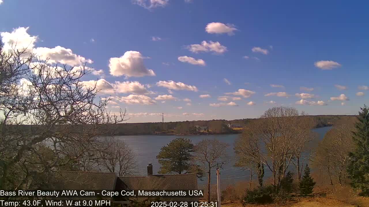 A partly cloudy, breezy day overlooks a calm river surrounded by bare winter trees and houses.