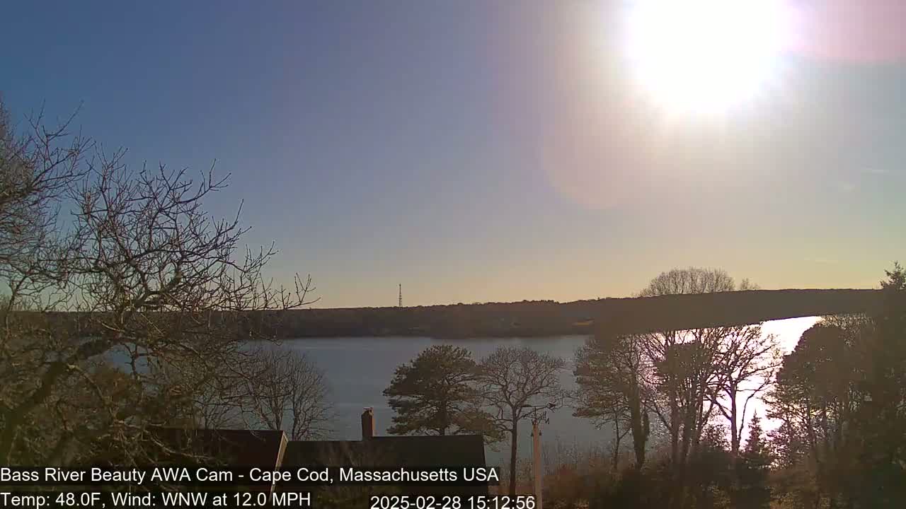 A calm body of water reflects the bright sun under a clear sky, viewed from a vantage point amongst bare trees.