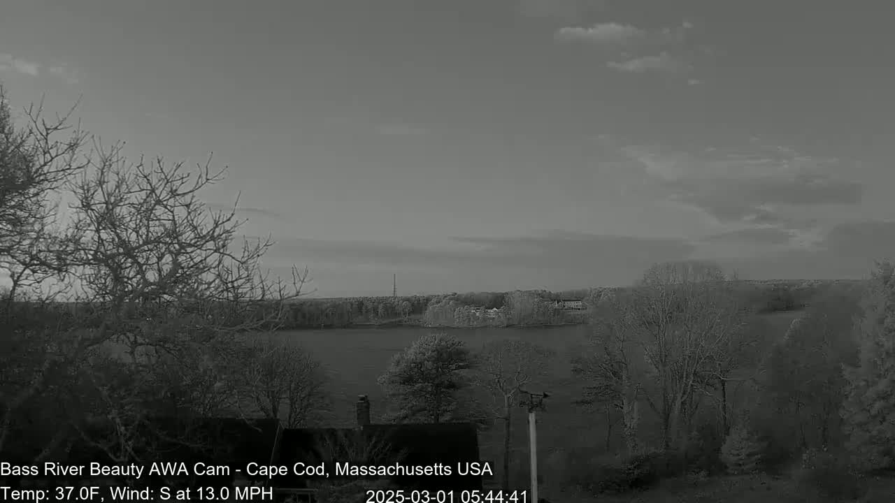 A grayscale image shows a body of water behind a line of leafless trees under a partly cloudy sky, with a temperature of 37°F and a south wind at 13 mph.