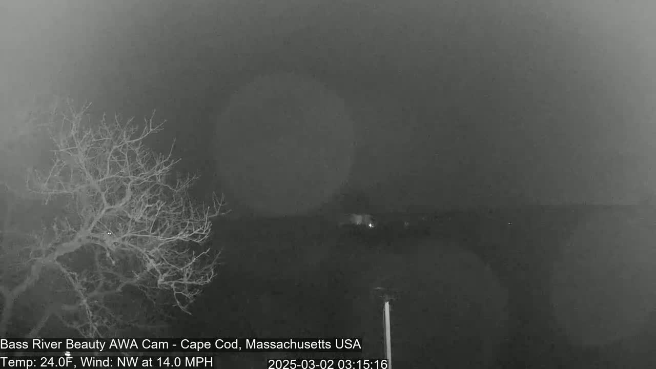 A nighttime, hazy, outdoor scene shows a bare tree to the left and a dark, indistinct landscape under a gray sky with a northwest wind blowing at 14 mph.
