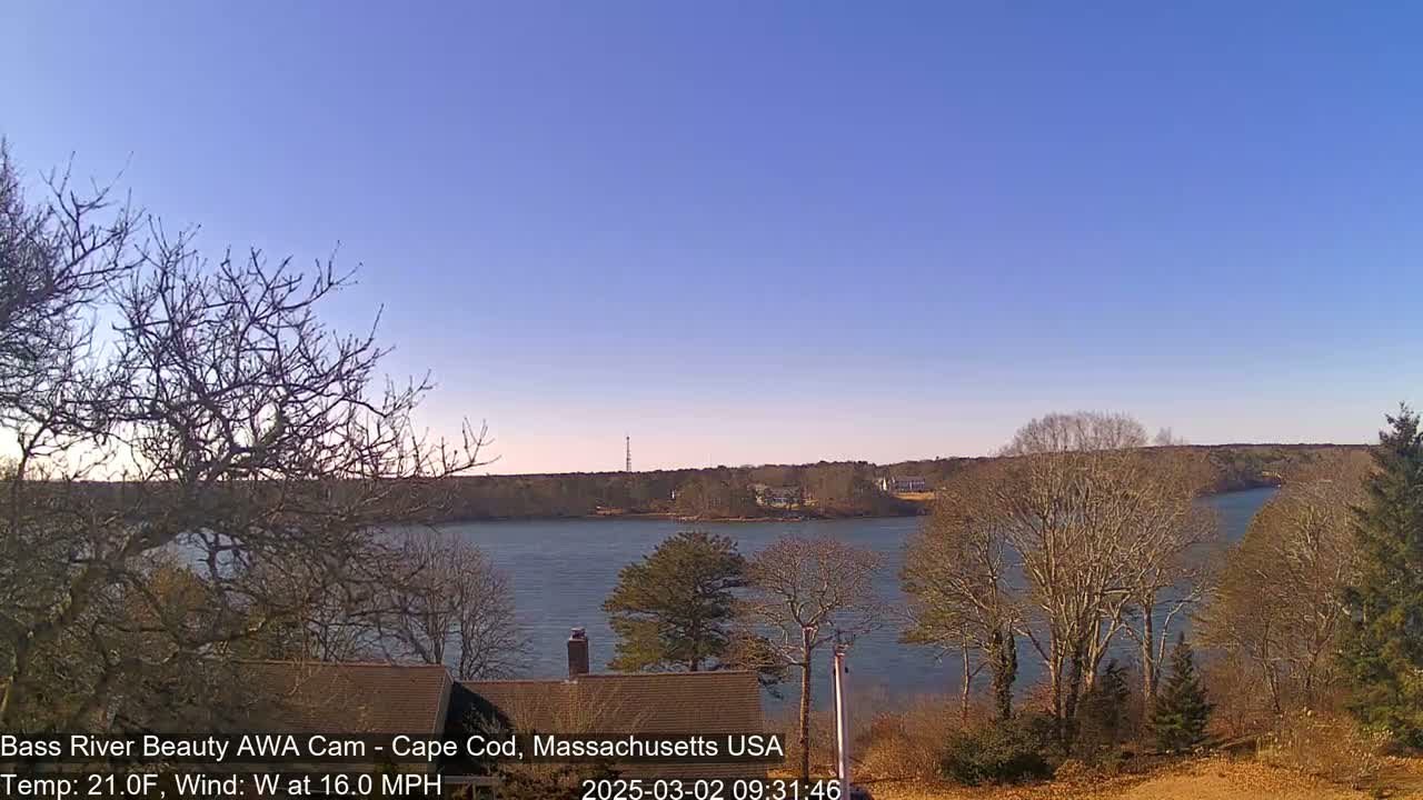 A calm river is seen from a hilltop overlooking bare winter trees under a clear blue sky.