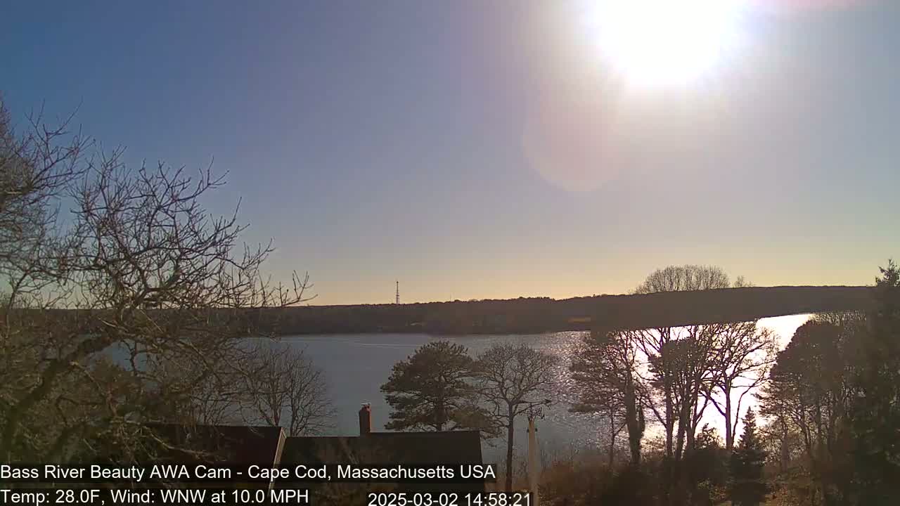 A sunny, windy day overlooks a calm body of water surrounded by leafless trees.