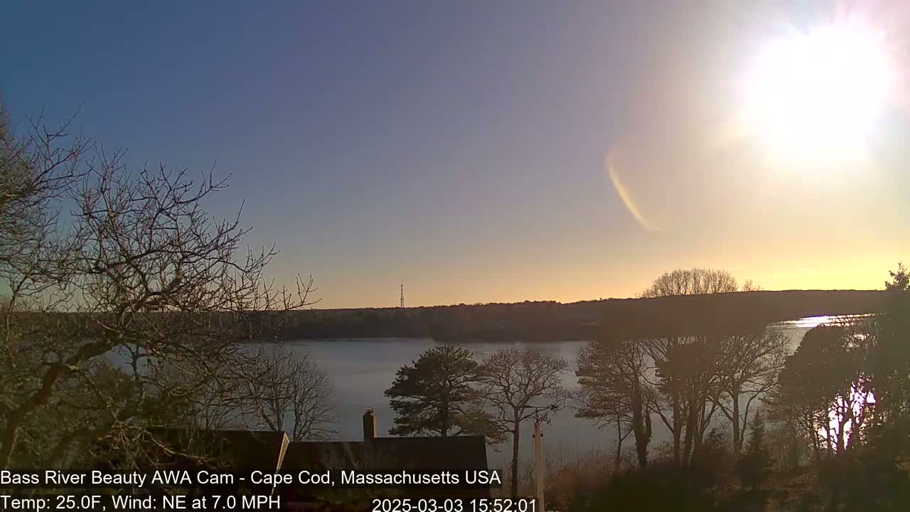 A calm body of water is seen at sunset, under a mostly clear sky, with bare trees in the foreground.