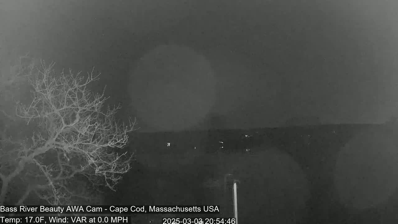 A nighttime, overcast view shows a bare tree in the foreground and a dark, distant horizon with a few faint lights.