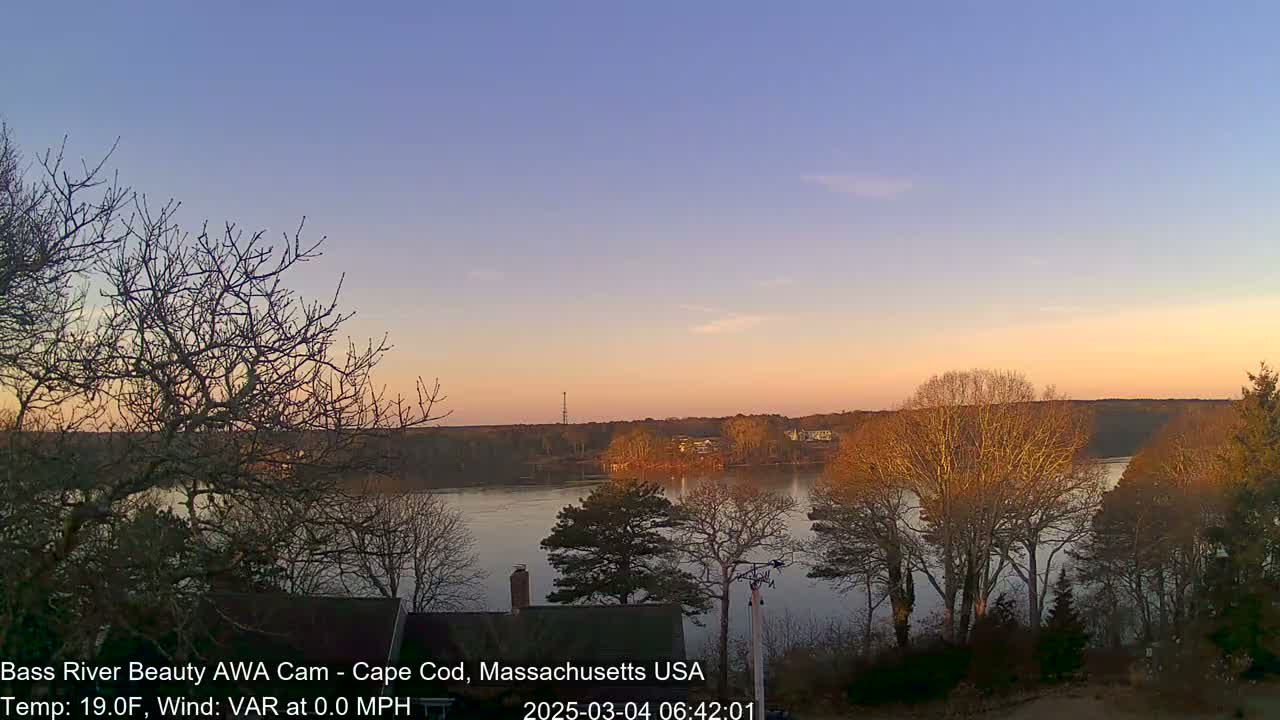 Bare trees line a calm river at sunset under a clear, pale sky.