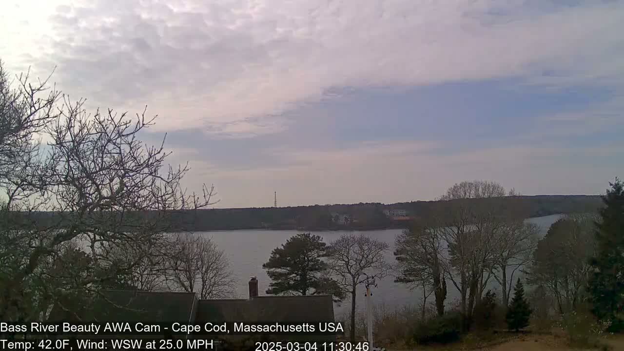 A mostly cloudy sky overlooks a calm body of water surrounded by bare trees under a cool, windy day.