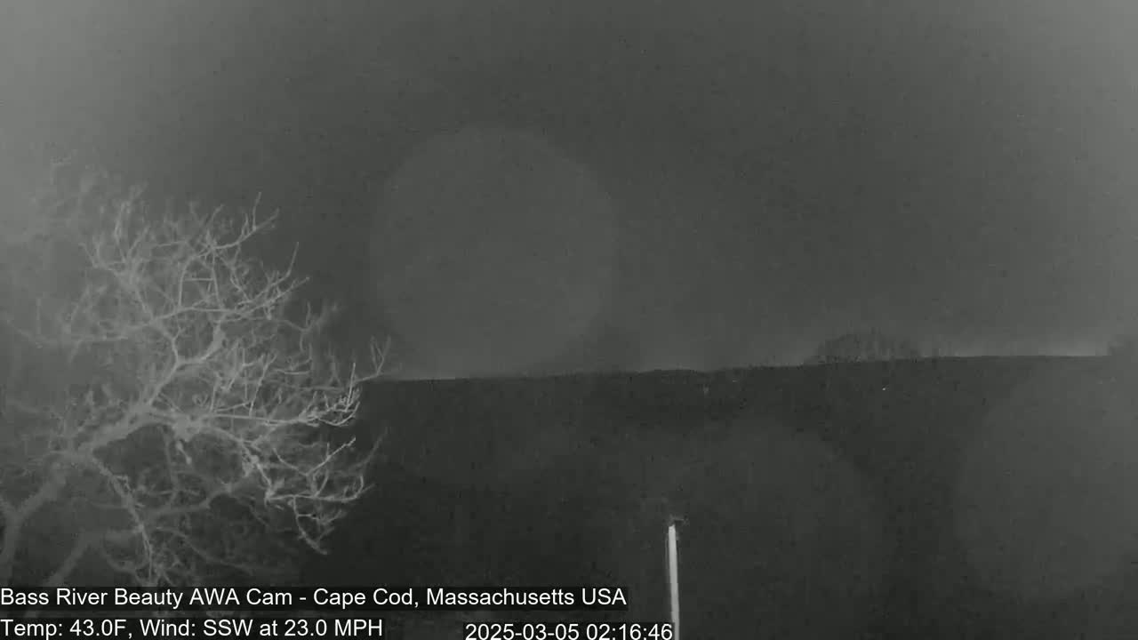 A nighttime, low-visibility scene shows a bare tree to the left and a flat horizon under a dark, overcast sky with a 43°F temperature and 23 mph wind from the south-southwest.