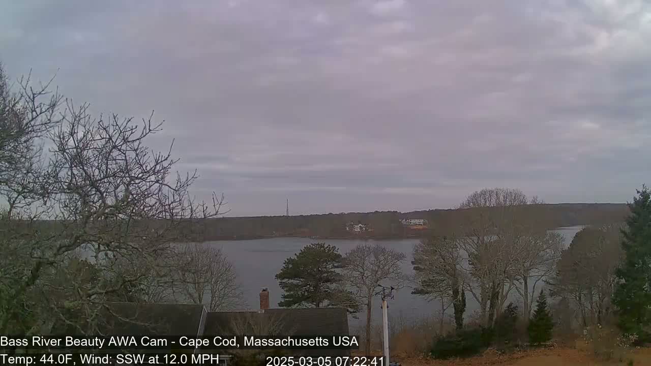 A calm body of water is visible beneath an overcast sky, framed by bare trees and a few buildings in the distance.