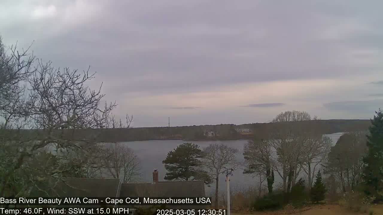 A calm body of water is seen under an overcast sky, with bare trees in the foreground and across the water’s edge, and a 15 mph wind blowing from the south-southwest.