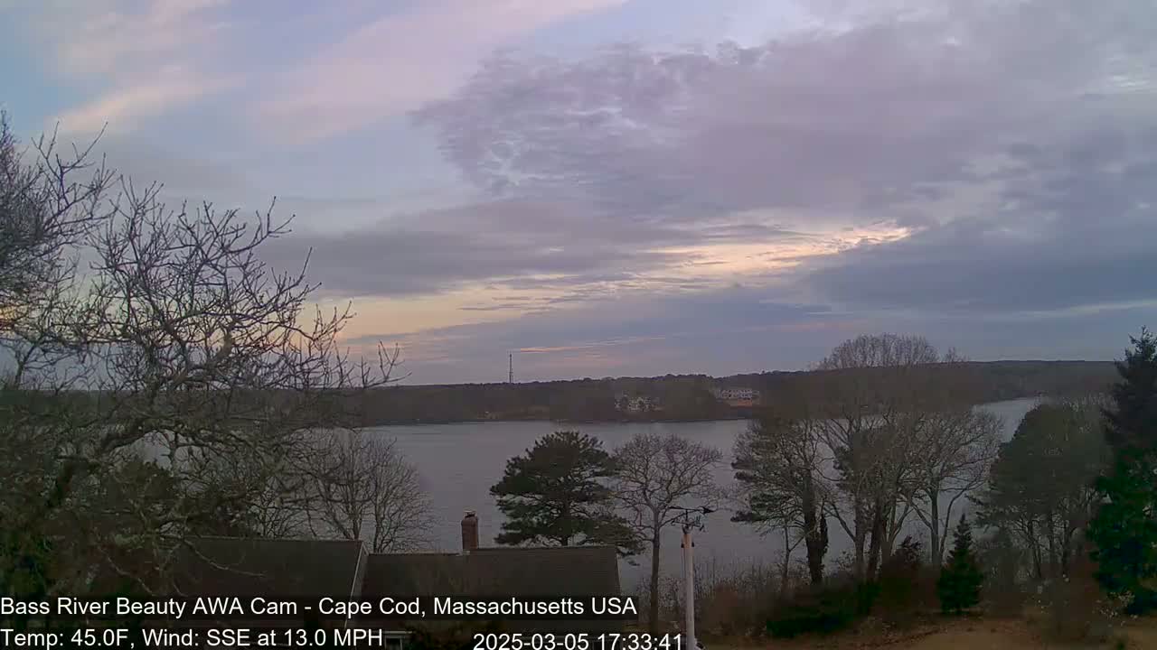 A calm body of water is visible from a vantage point overlooking bare trees under a cloudy, pastel-hued sky.