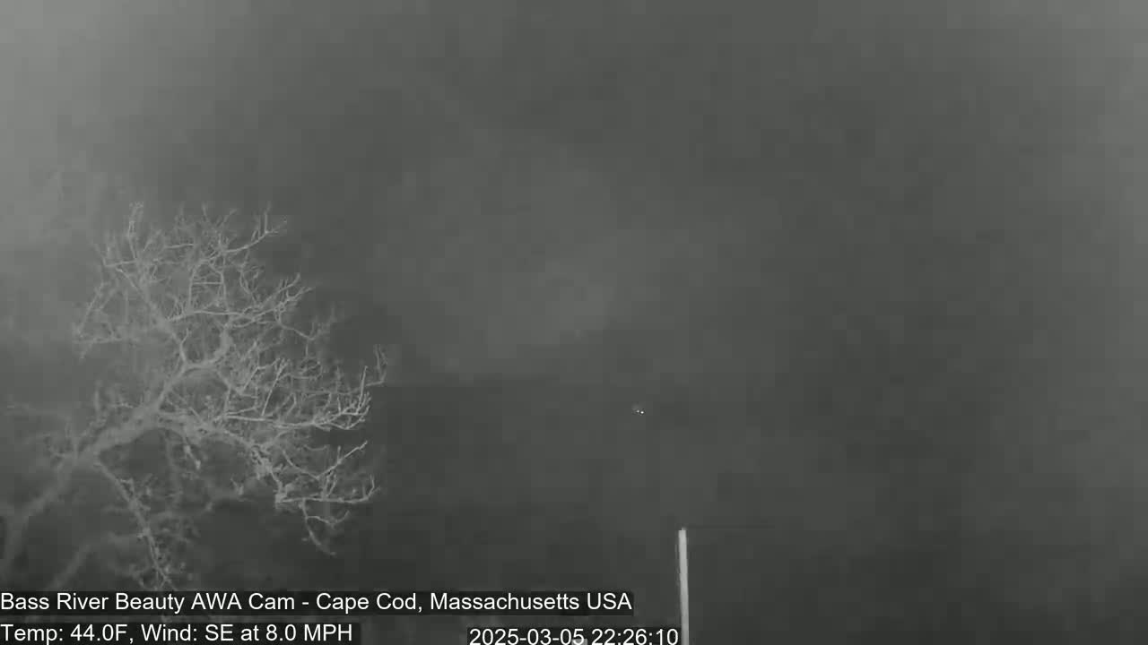 A bare, leafless tree is visible in the foreground under a dark, hazy sky with a southeast wind blowing at 8.0 mph and a temperature of 44°F.