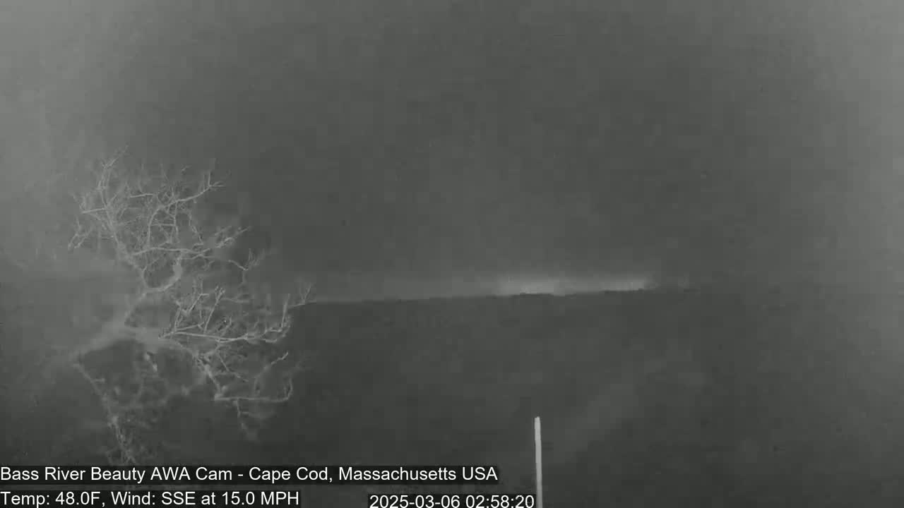 A nighttime, low-light image shows a mostly dark landscape with a barren tree in the foreground under an overcast sky with a possible distant lightning strike.