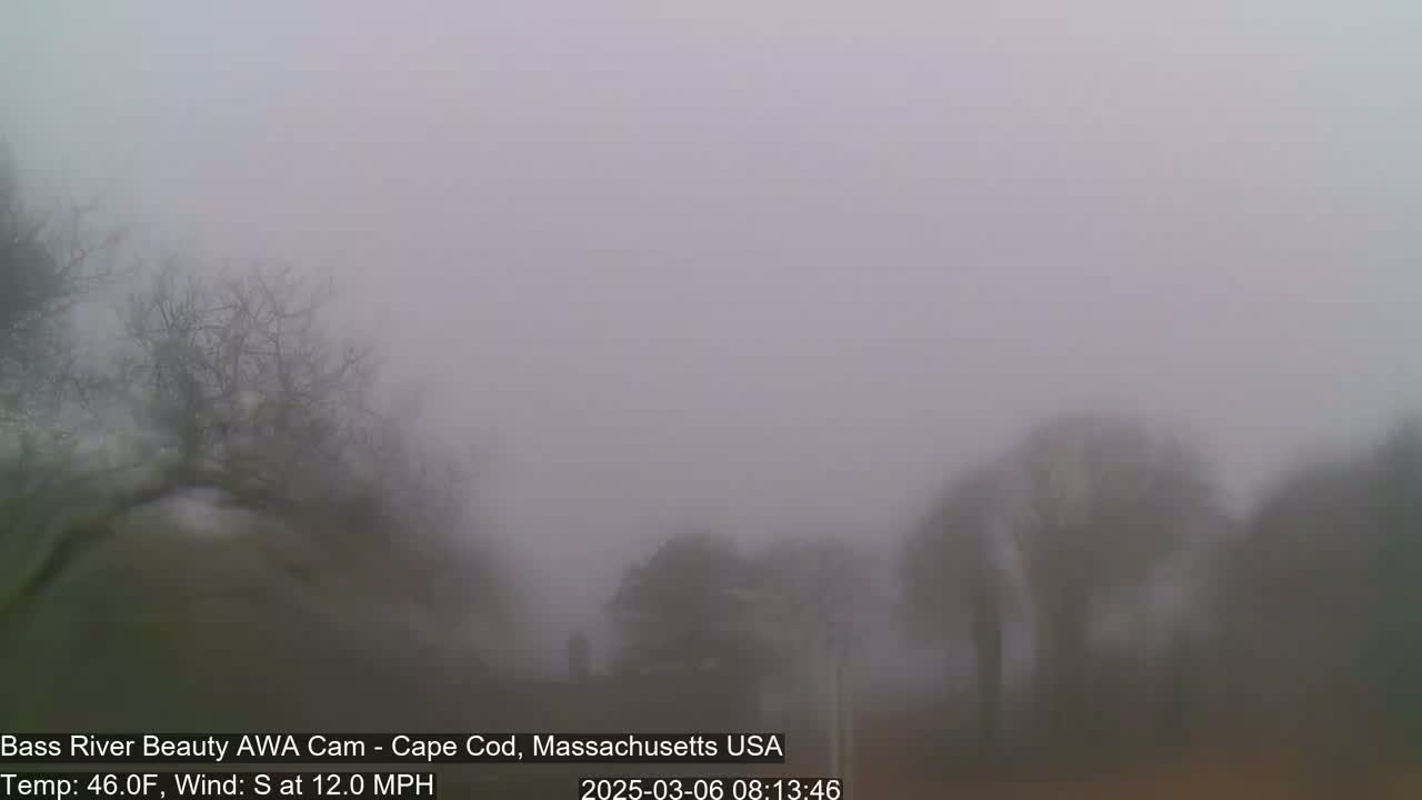A foggy scene shows bare trees and indistinct structures in the distance.