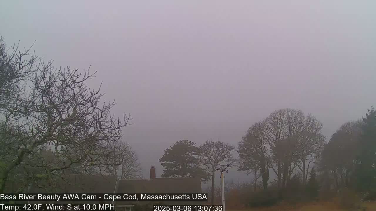 Bare, leafless trees and a house are visible in a foggy landscape with a temperature of 42°F and a south wind at 10 mph.