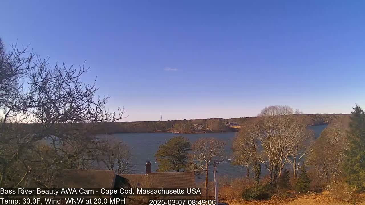 A tranquil body of water, slightly choppy from a twenty mile per hour wind, stretches under a clear blue sky, bordered by leafless trees and houses.