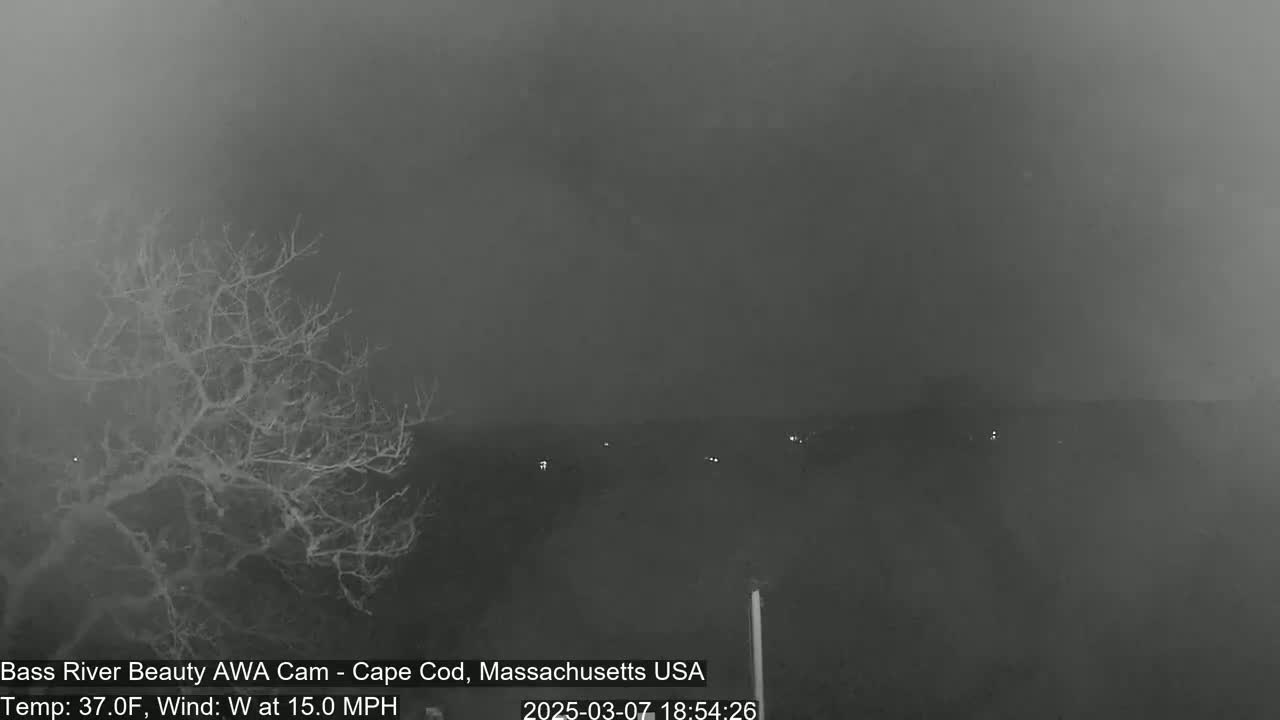 A nighttime, foggy scene shows a bare tree in the foreground and a few distant lights visible through the haze, with a 15 mph westerly wind and a temperature of 37°F.