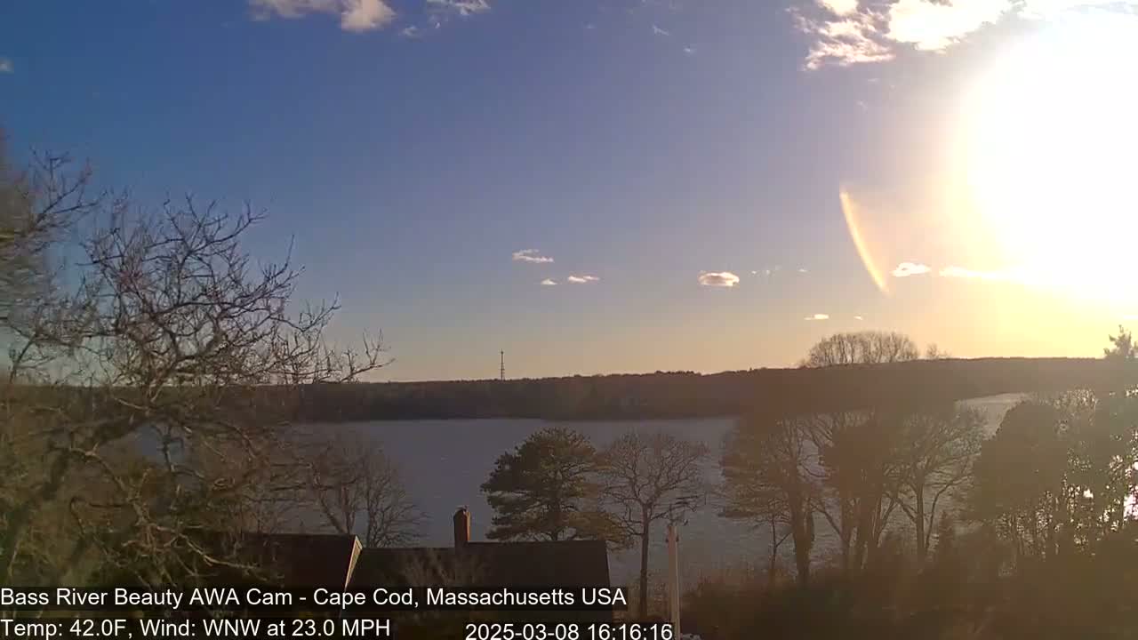 A mostly sunny, windy day overlooking a calm body of water, with bare trees in the foreground and a distant shoreline.