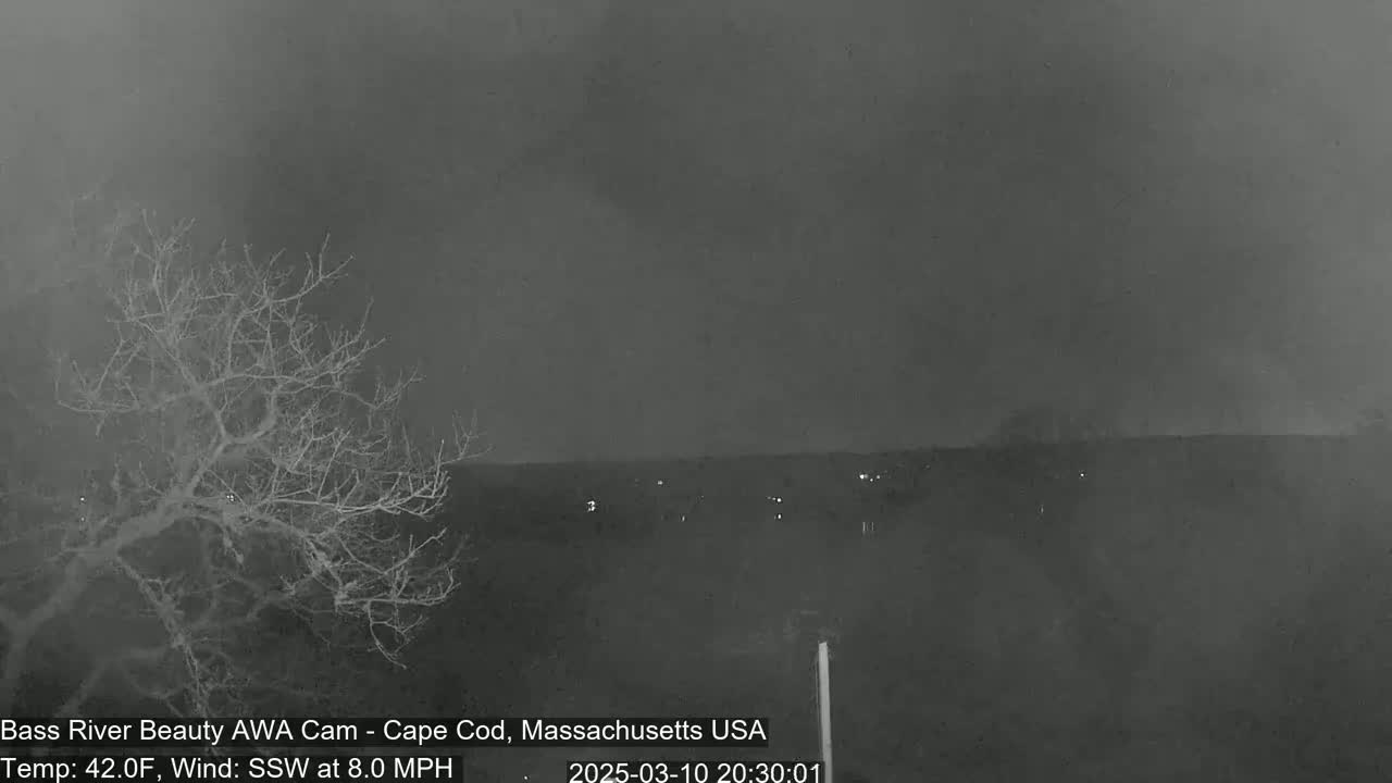 A nighttime, low-light view shows a bare tree in the foreground with a distant, dimly lit landscape under a dark, overcast sky, with a temperature of 42°F and a south-southwesterly wind at 8.0 mph.