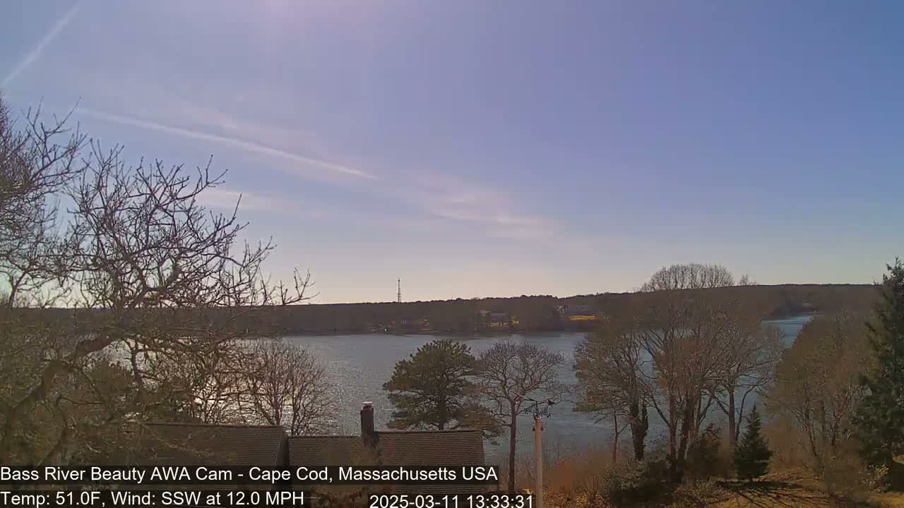 A calm body of water is seen from a vantage point overlooking bare trees and rooftops under a clear, light blue sky.