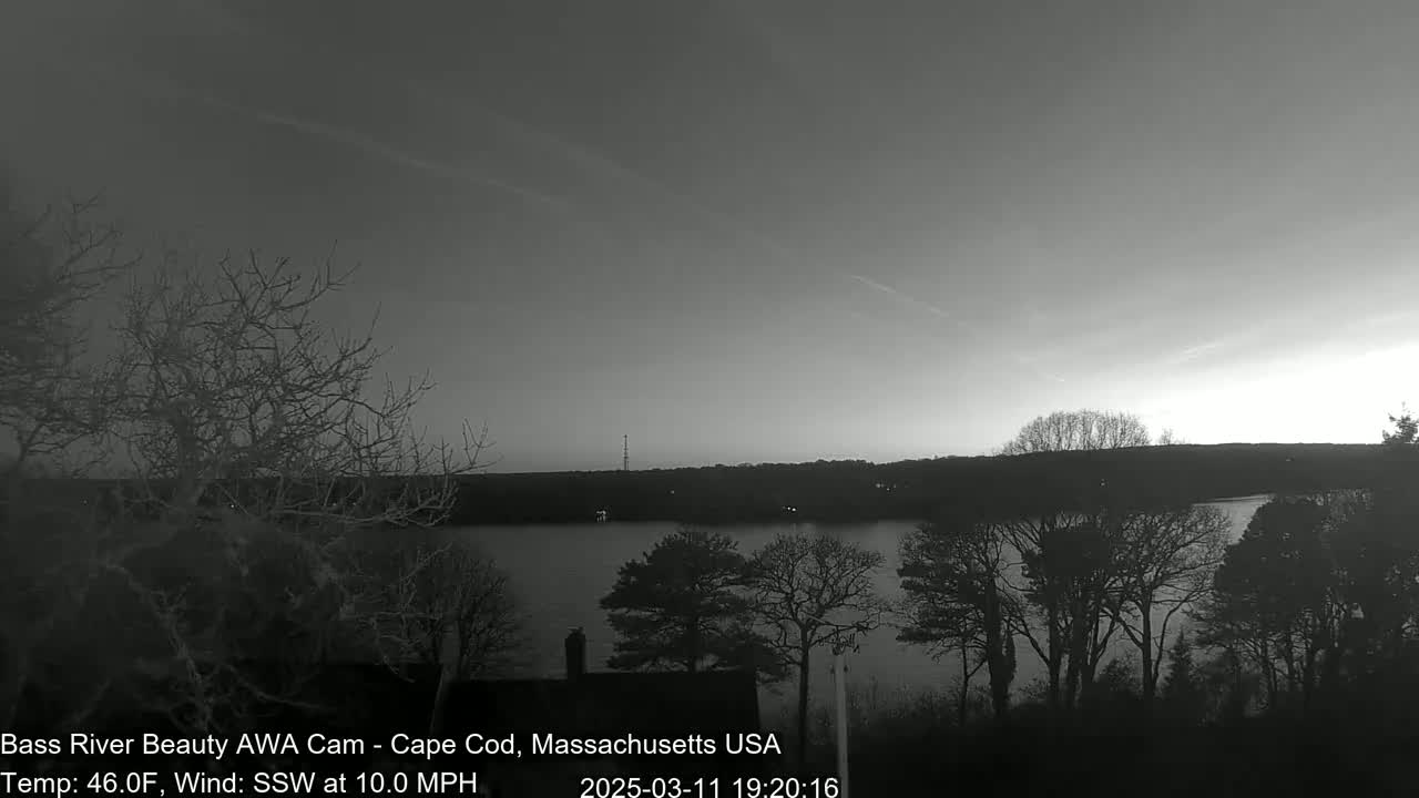 A grayscale image shows a calm body of water at dusk, bordered by bare trees and a dark, treeline-covered shore under a clear sky.