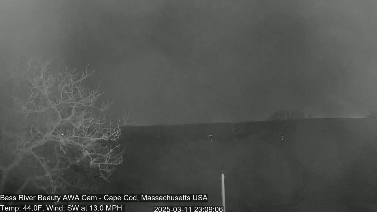 A nighttime, hazy view shows a bare tree in the foreground and a dark landscape under a gray sky, with a southwest wind blowing at 13 mph.