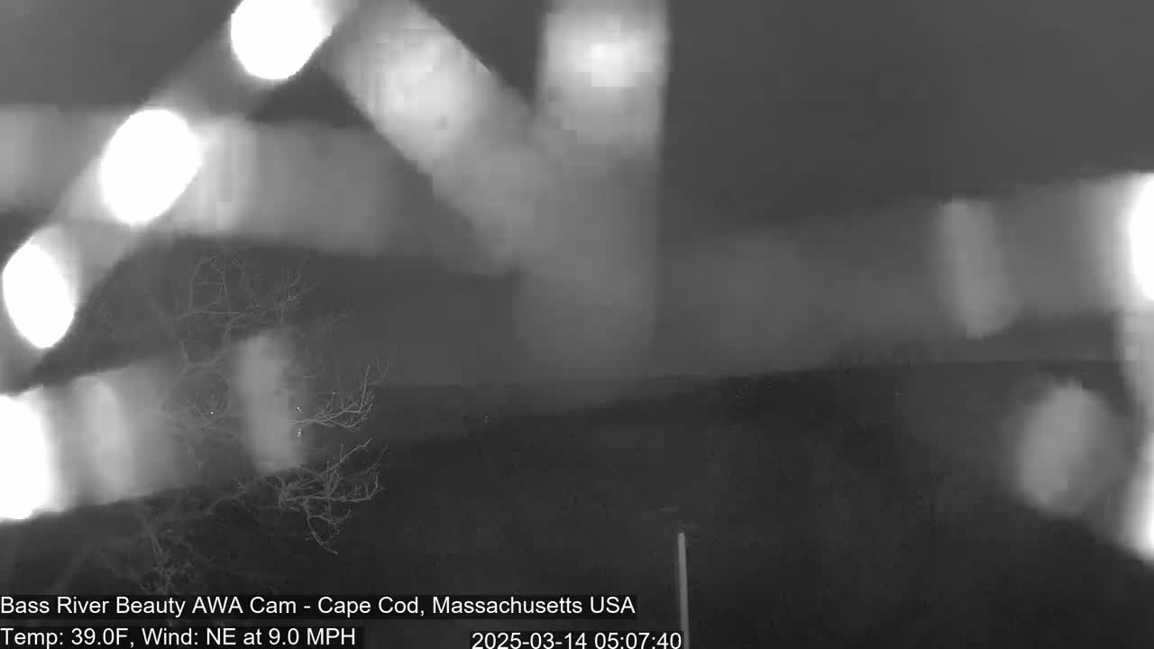 A nighttime, low-light image shows blurry lights and a bare tree under a dark, somewhat hazy sky with a northeast wind at 9.0 mph and a temperature of 39.0°F.