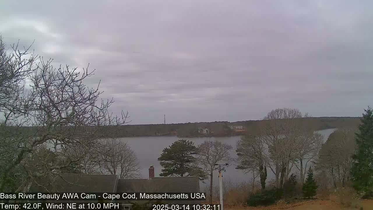 A calm river winds through a leafless winter landscape under an overcast sky.