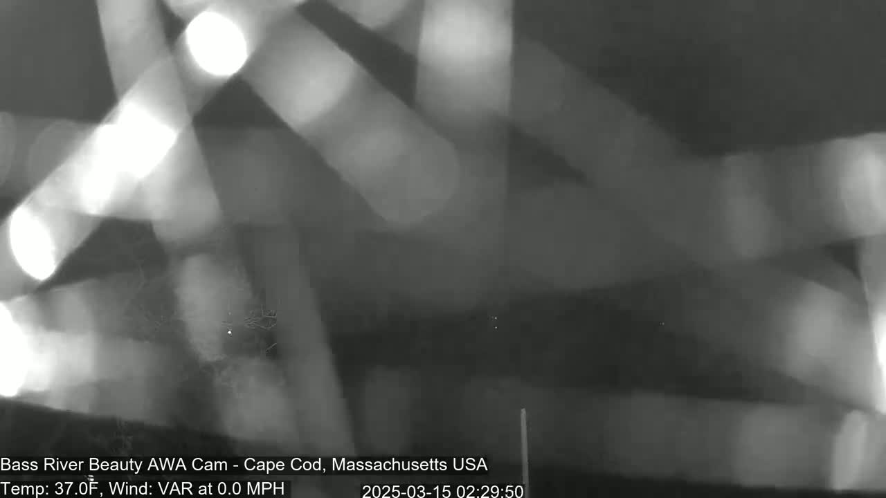 A blurry, grayscale image shows bright lights streaking across a dark background at night.
