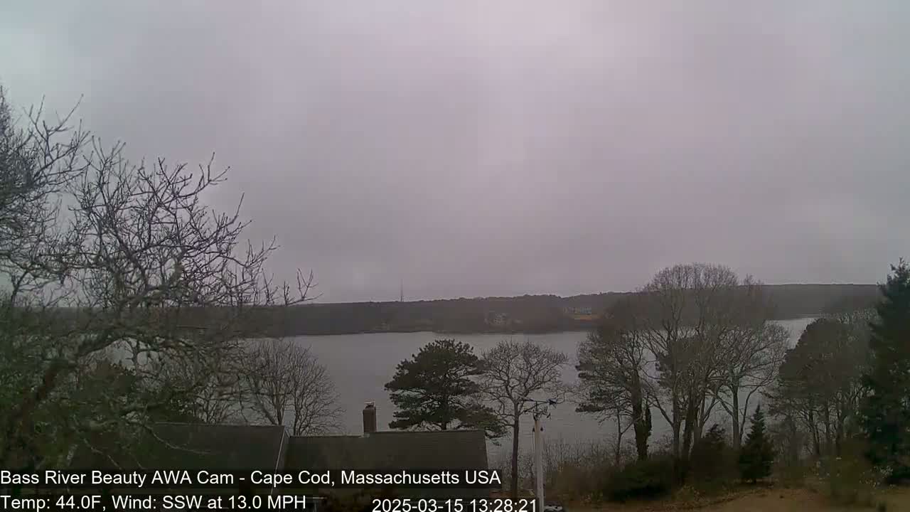 A calm body of water is visible through bare winter trees under an overcast sky.