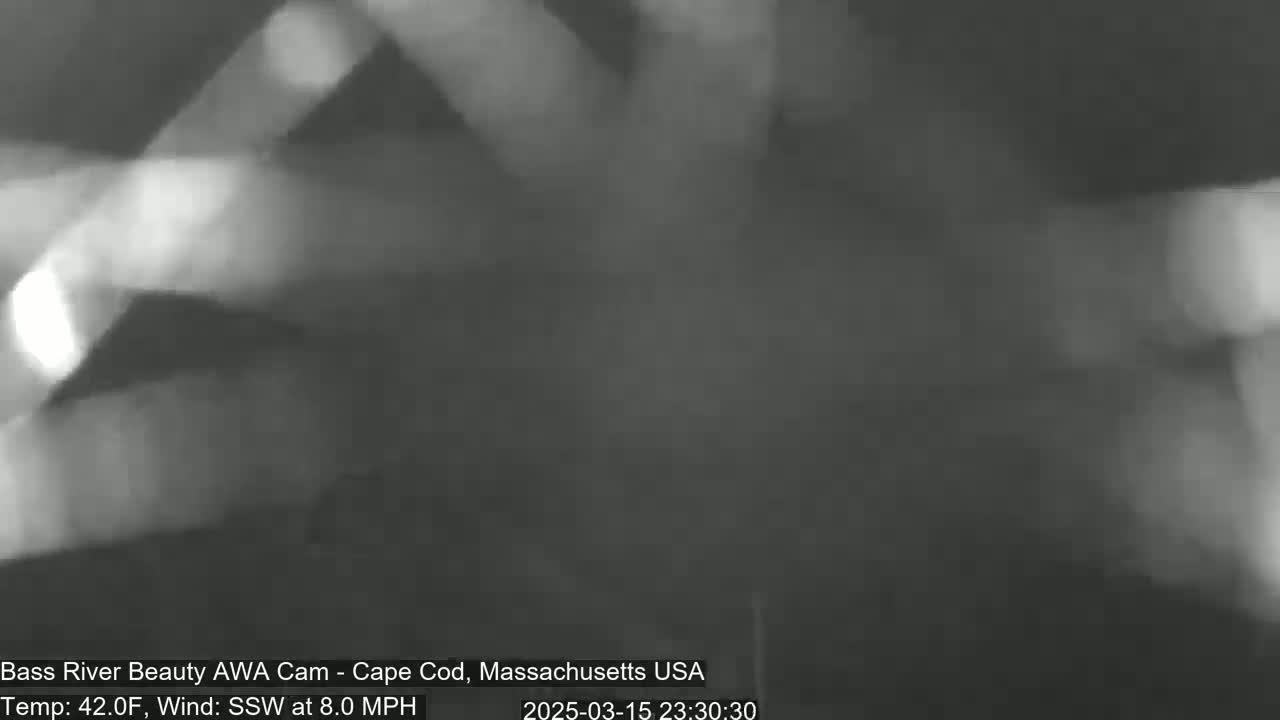 A blurry, grayscale image shows indistinct shapes and textures, likely taken outdoors with a temperature of 42°F and a south-southwest wind at 8.0 mph.