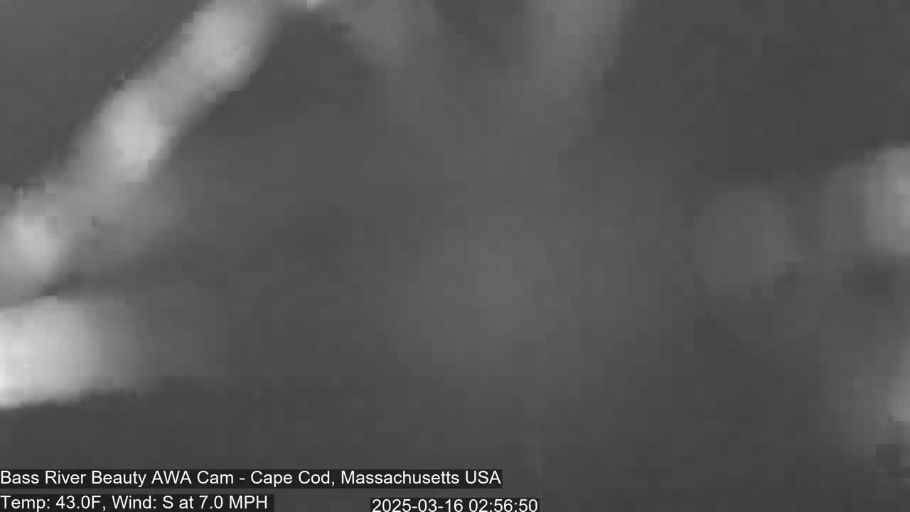 A blurry, grayscale image shows a mostly obscured view of an outdoor scene with a temperature of 43 degrees Fahrenheit and a 7 mph south wind.