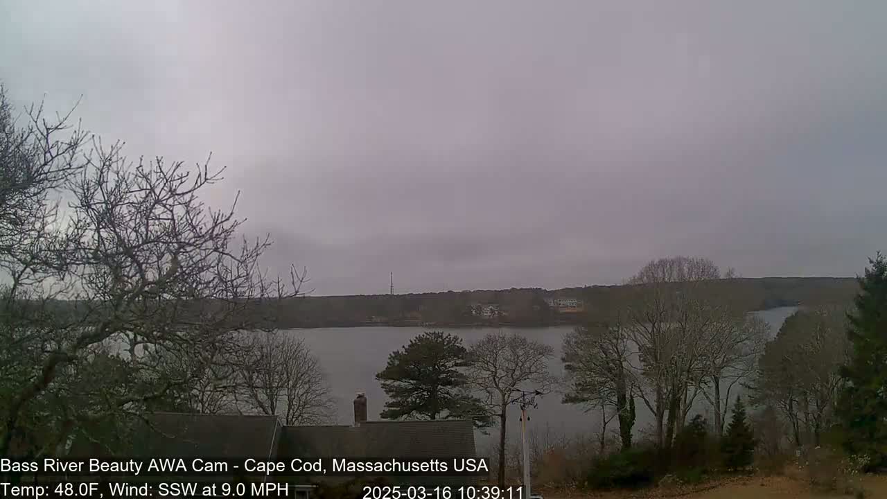 A calm body of water is visible between bare trees under an overcast sky.