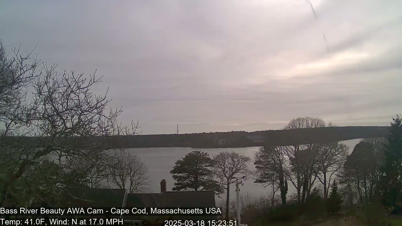 A calm body of water is visible from a vantage point amongst leafless trees under an overcast sky.