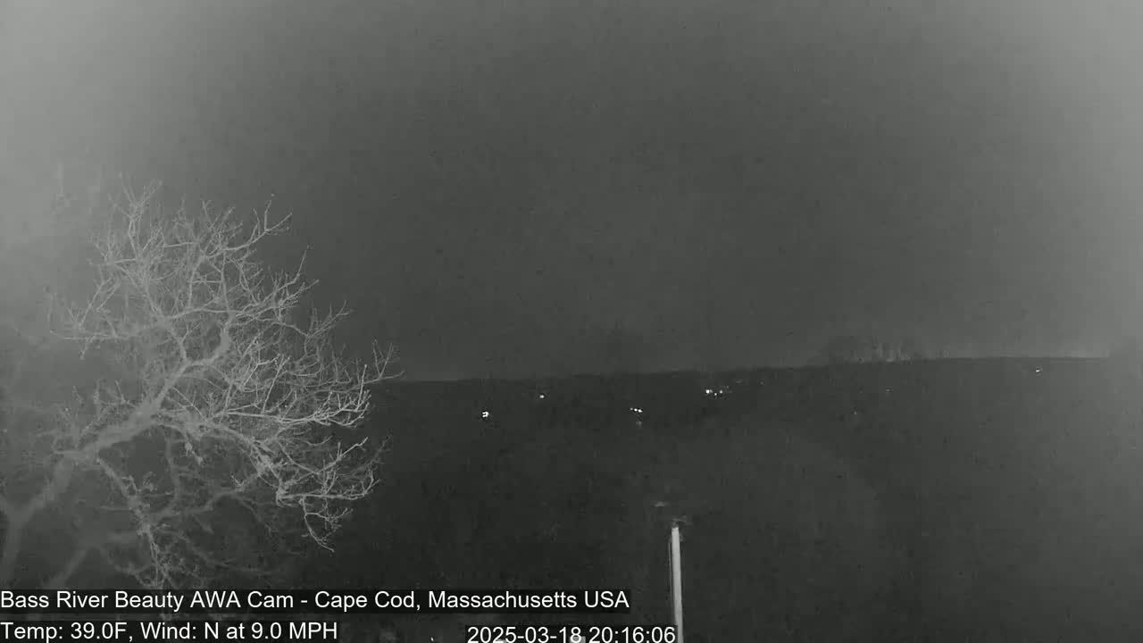 A nighttime, hazy view shows a bare tree in the foreground and a distant, dimly lit landscape under a dark sky.