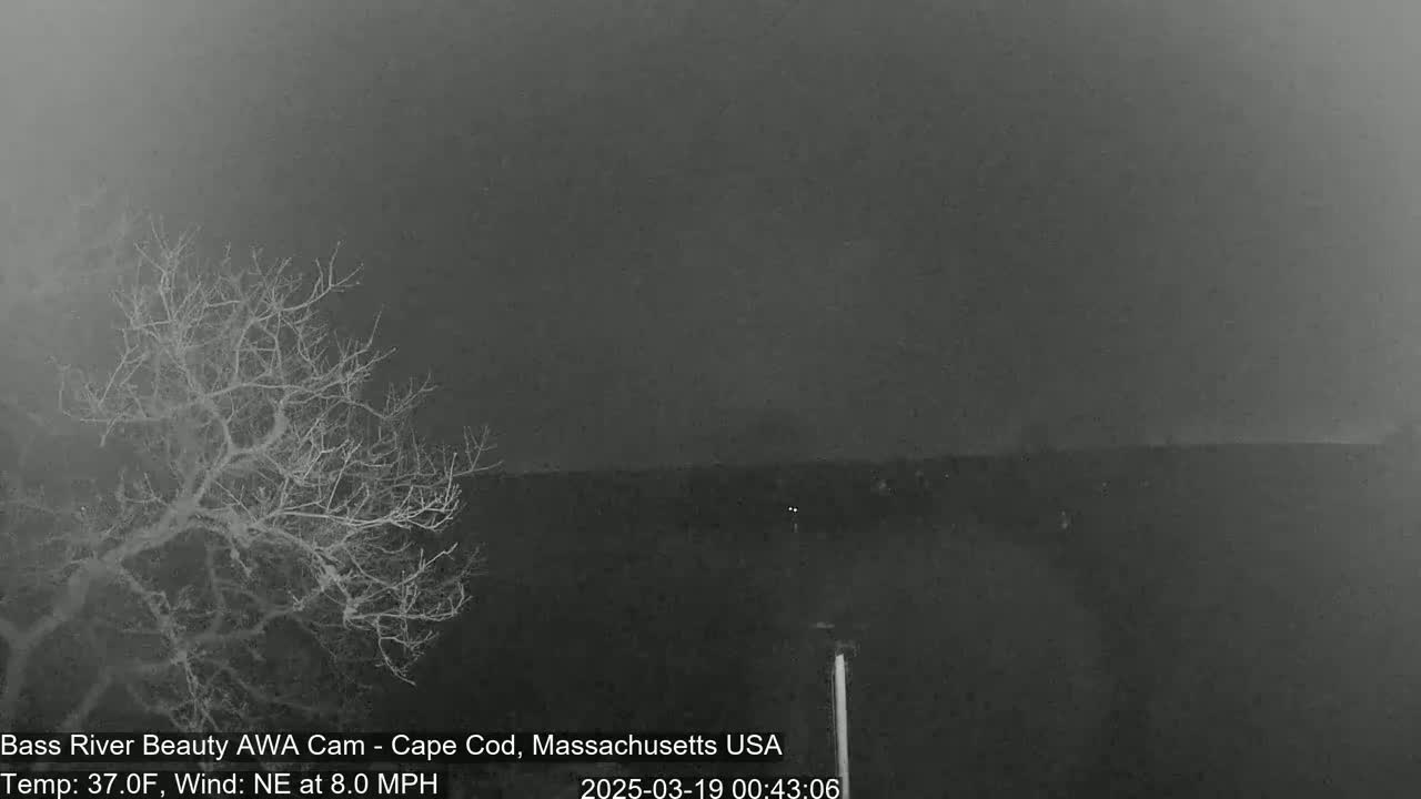 A bare, leafless tree stands in the foreground under a dark, overcast sky with a northeast wind blowing at 8 mph and a temperature of 37 degrees Fahrenheit.