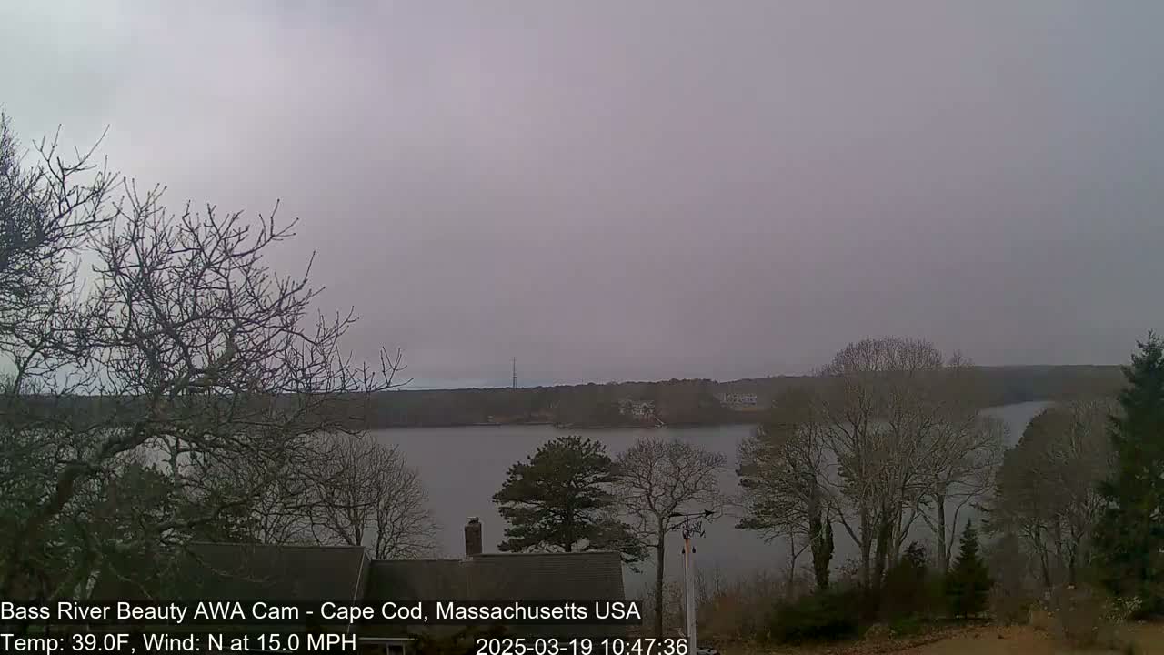 A calm body of water is seen under an overcast sky, viewed from a vantage point among bare winter trees.