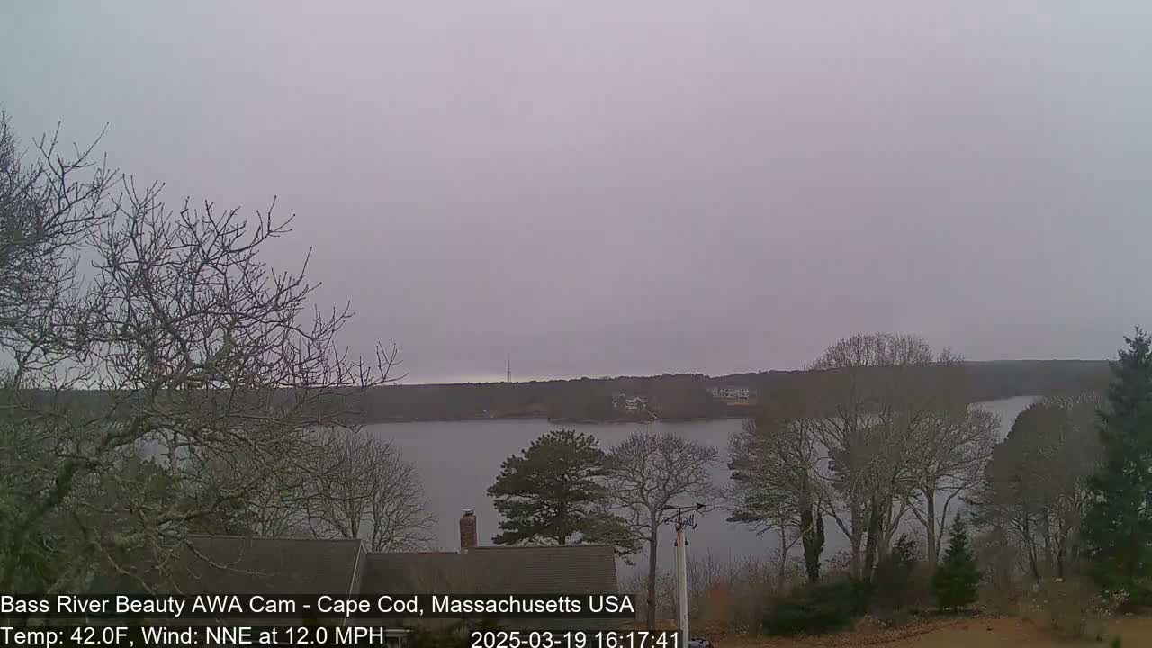 A calm body of water is seen from a high vantage point on an overcast day, with bare trees lining the shoreline in the foreground.