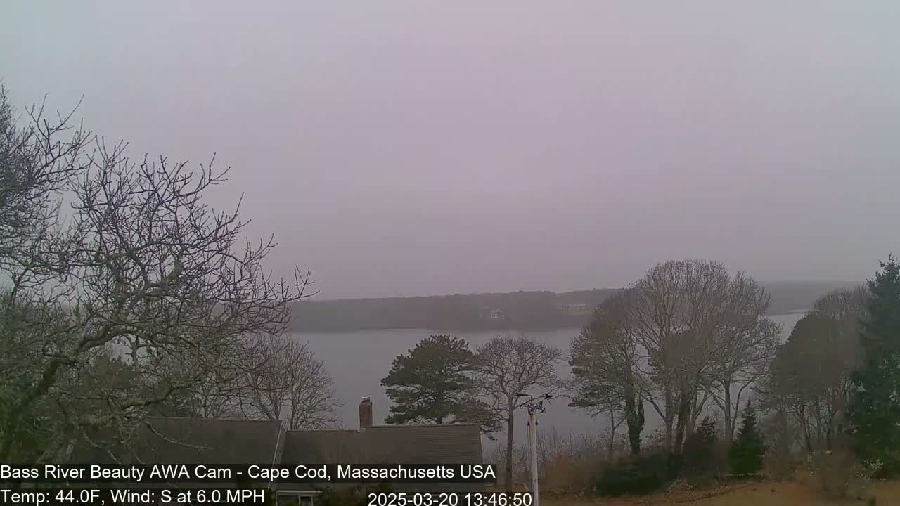 A hazy, overcast view of a calm body of water, partially obscured by bare winter trees and a house in the foreground.
