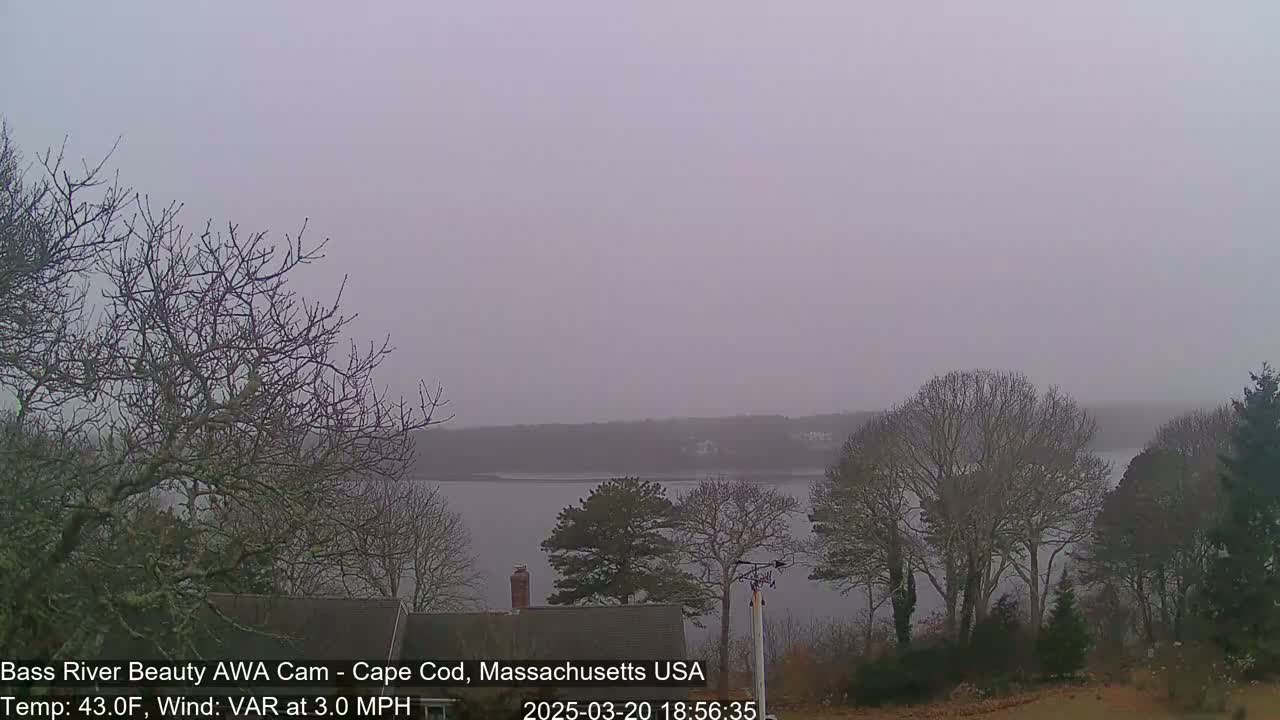 A hazy, overcast view of a calm body of water, seen from a vantage point amongst bare, winter trees.