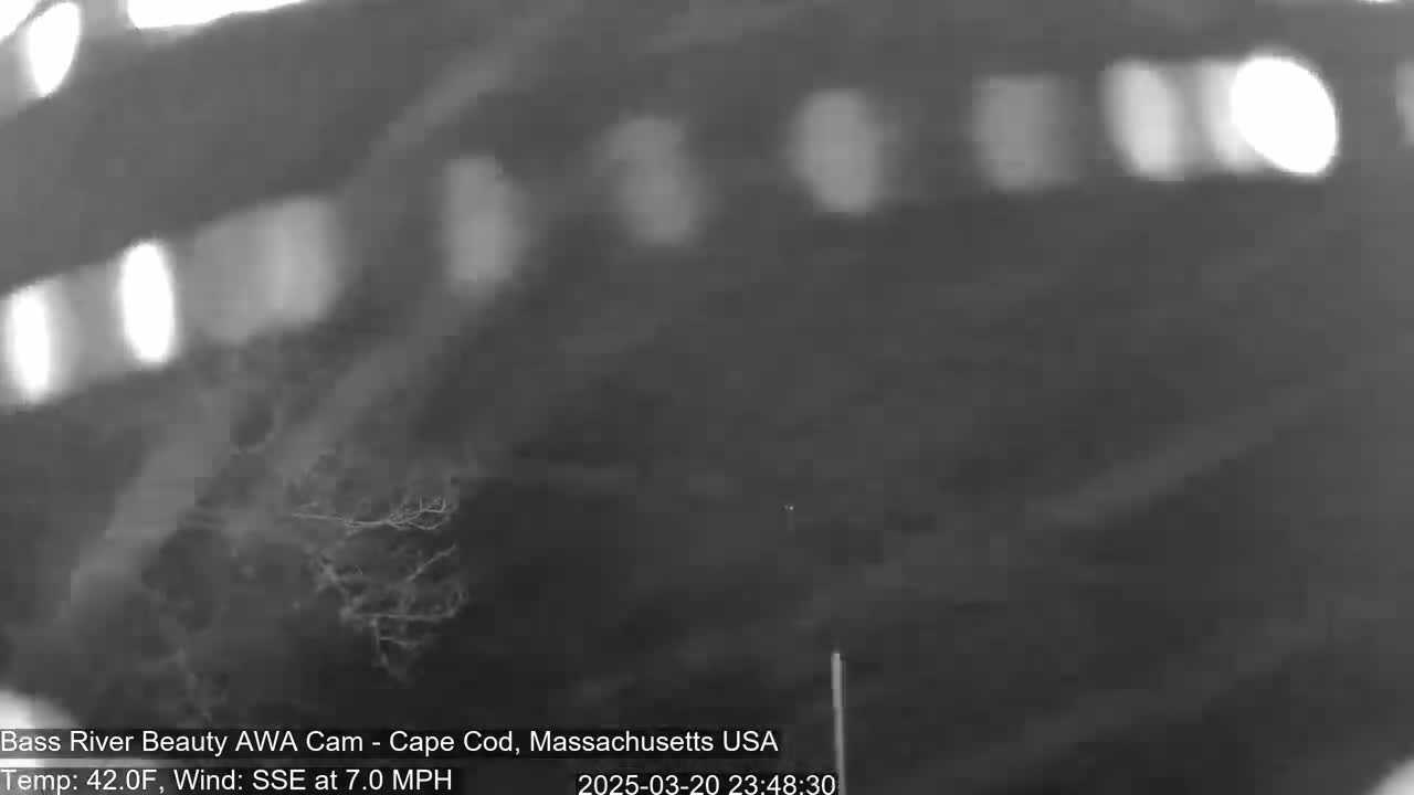 A blurry nighttime outdoor image shows a dark landscape with some sparse, light-colored vegetation under a dark sky with a 7 mph wind from the southeast at a temperature of 42°F.
