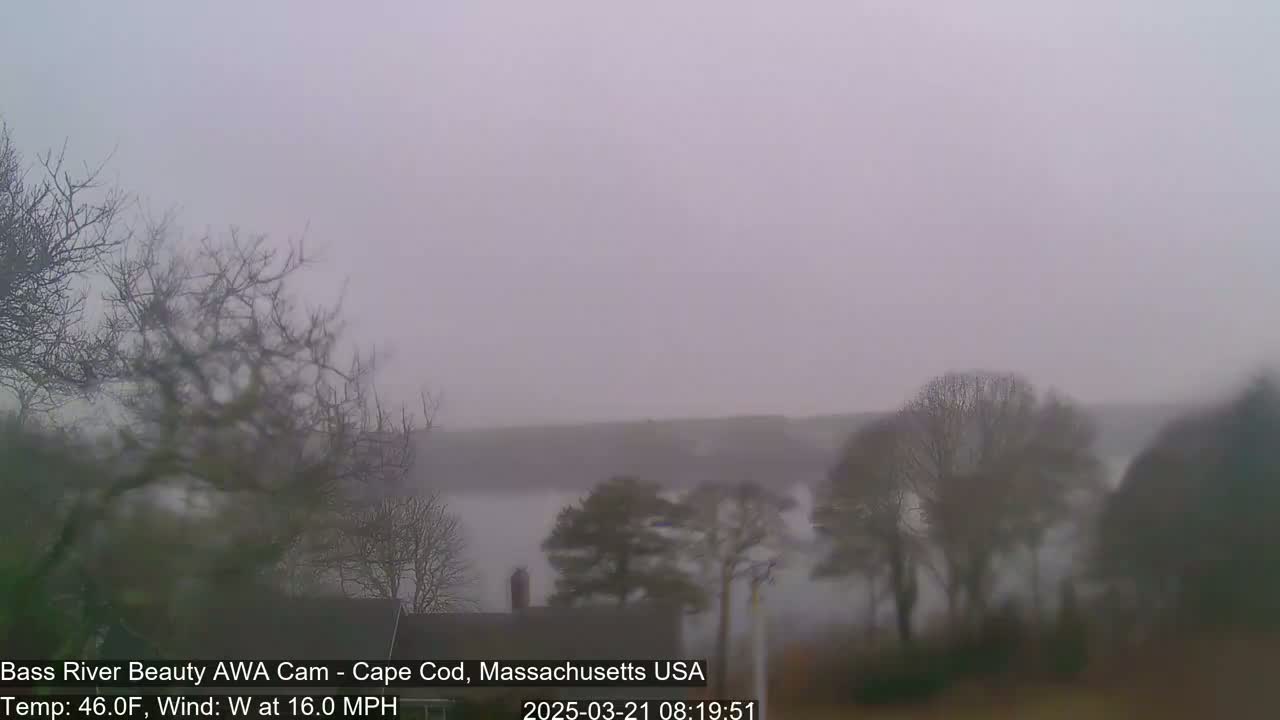 A foggy landscape with bare trees and a body of water in the distance, under a gray sky and a 16 mph west wind.