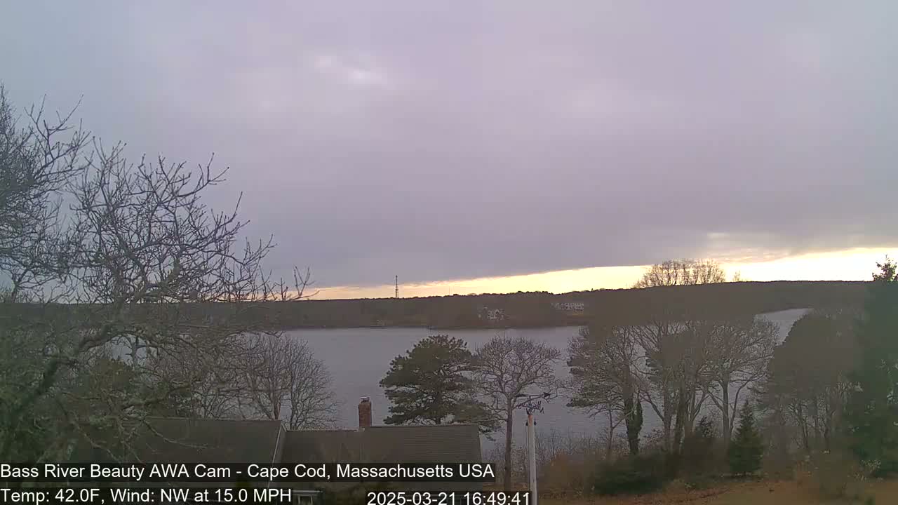 A calm body of water is visible beneath a mostly cloudy, pale sky with a hint of sunset, framed by bare winter trees and a house.
