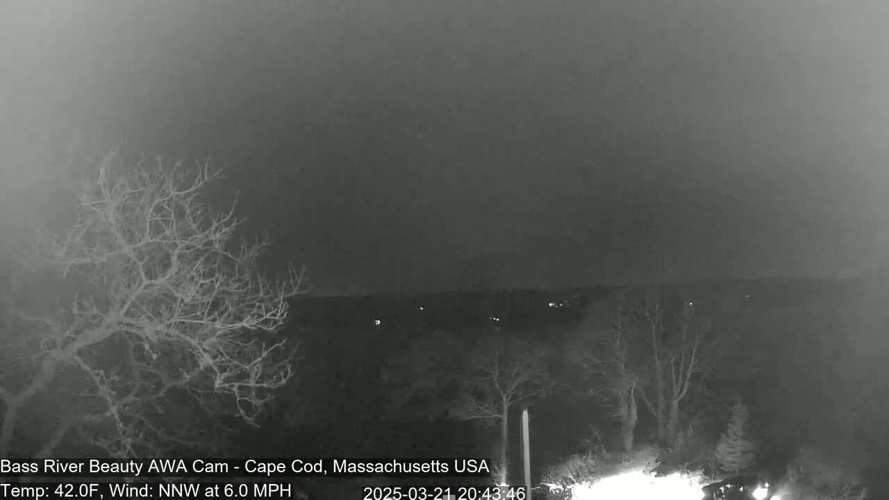A nighttime, overcast scene shows bare trees in the foreground and a dimly lit landscape in the background, with a light wind.