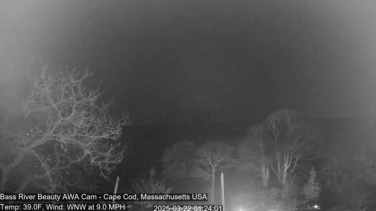 A nighttime, grayscale view of bare trees under an overcast sky, with a 39°F temperature and a 9 mph wind from the west-northwest.
