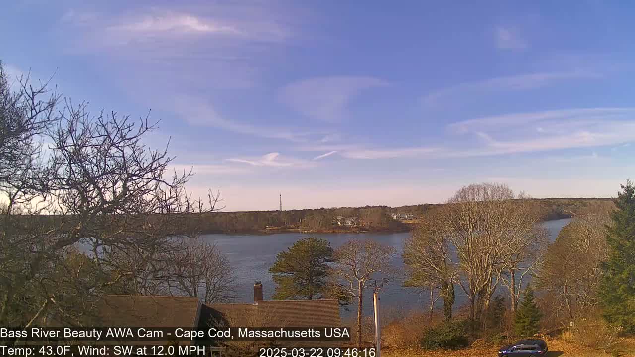 A calm body of water is seen from a high vantage point, under a mostly clear sky with wispy clouds, surrounded by bare deciduous trees and a few evergreen trees.