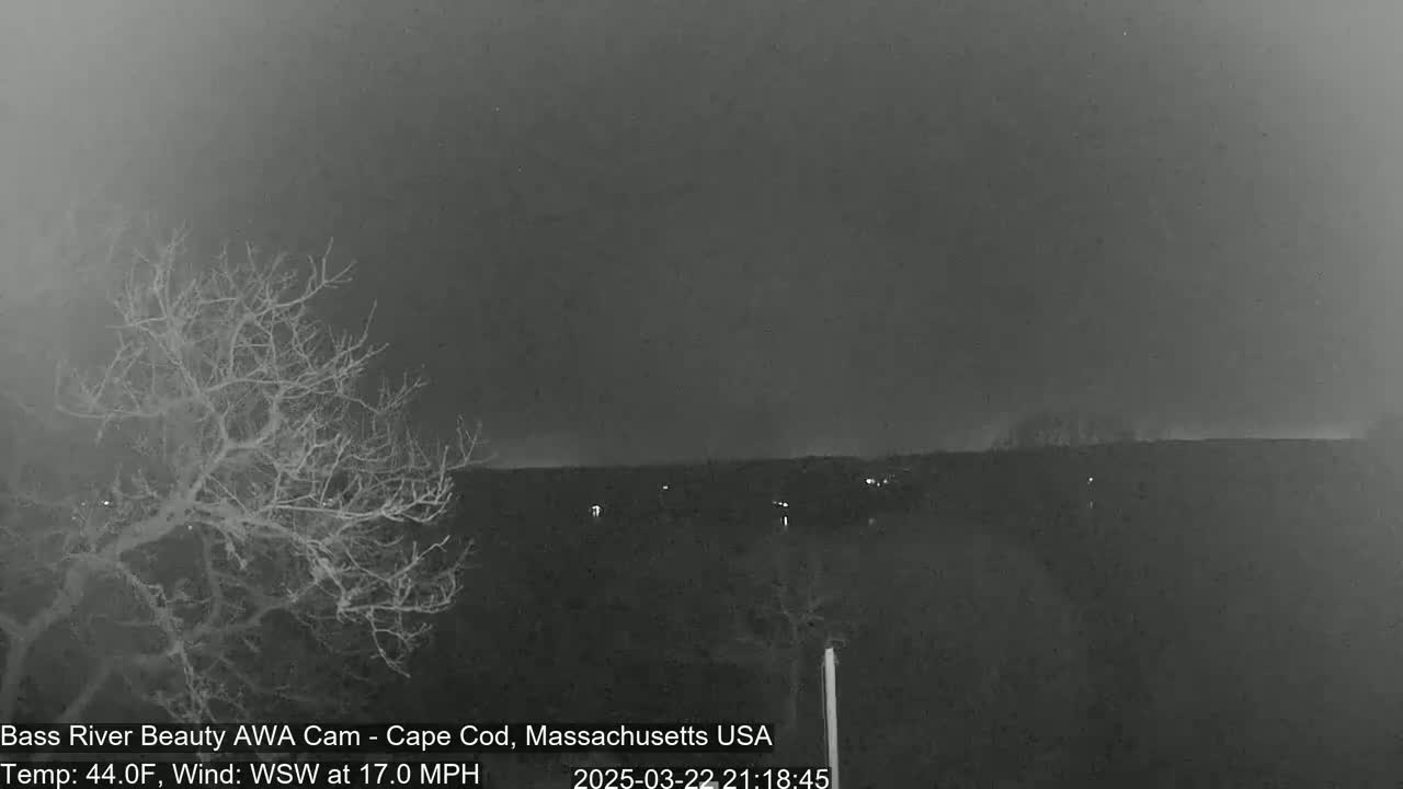 A dark, overcast night scene shows a bare tree in the foreground and a distant, dimly lit landscape under a dark, heavy sky with a 17 mph wind.