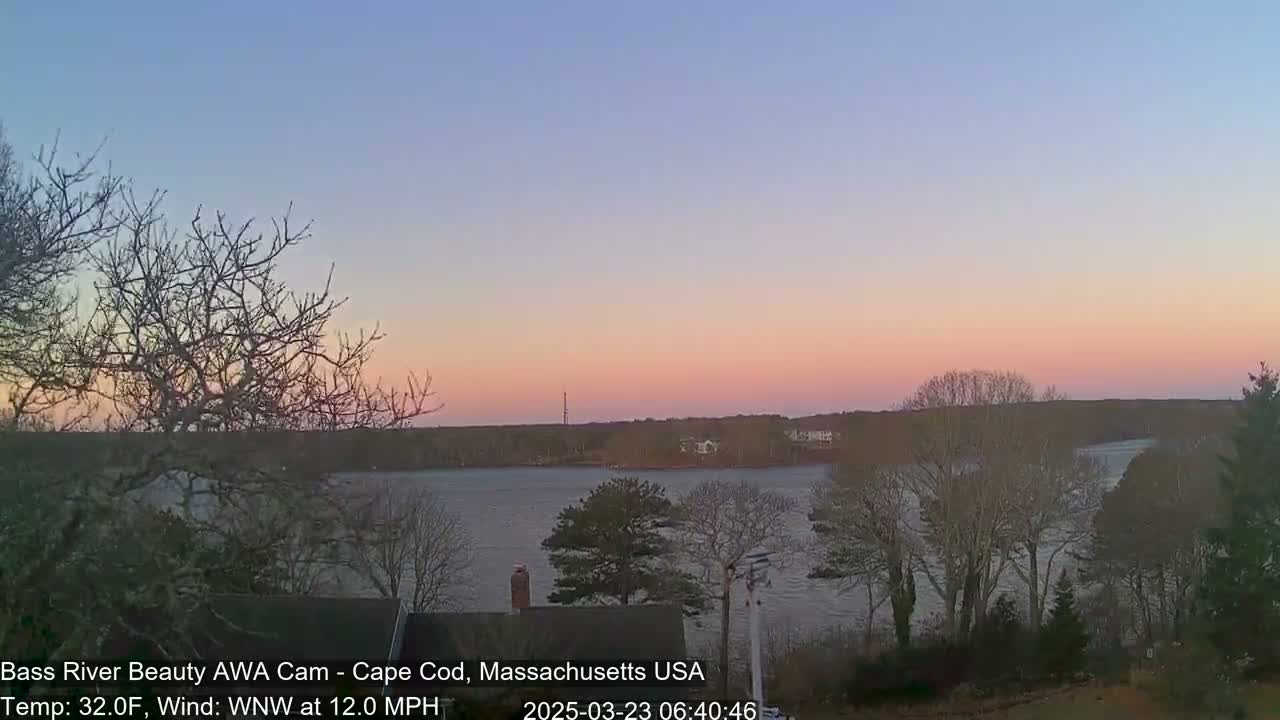 A tranquil river scene at dawn, under a pale pink and purple sky, with bare trees in the foreground and a gentle wind.